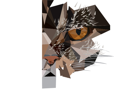 c'est un demie chat